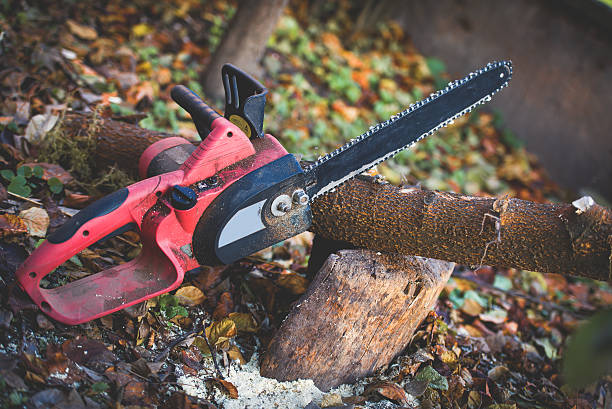 Leaf Removal in Ingalls, IN